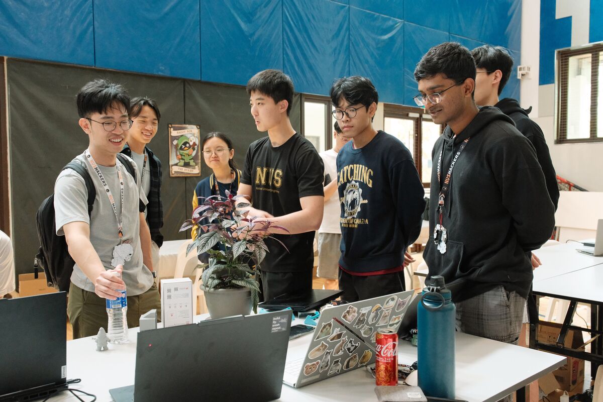 [NUS Hack&Roll 2026] Talking Plant